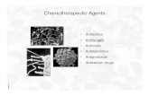 Chemotherapeutic Agents - University of California, San …classes.biology.ucsd.edu/bimm118.WI16/PPT Lecture... · Chemotherapeutic Agents • Antibiotics • Antifungals ... Inhibit