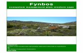 Fynbos Ecosystem Management Plan - Conservation at Work · FYNBOS Ecosystem Management ... The shale bands of the Cedarberg Formation are sandwiched between ... soil with ironstone