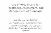 Use of CVT for Treatment and Assessment of Dysphagia€¢Benefits for use of CVT •Evidence for use in assessment, treatment and management of dysphagia ... •A clinical report describes