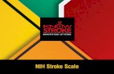 NIH Stroke Scale · Administer stroke scale items in the order listed. Record performance in each category after each subscale exam. Do not go back and change scores.