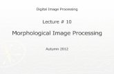 Digital Image Processing - web.uettaxila.edu.pkweb.uettaxila.edu.pk/CMS/AUT2012/cpDIDbs/notes\Lect10_Morphologi… · Digital Image Processing Lecture # 10 2 Agenda Extraction of