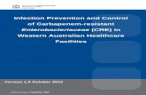Infection Prevention and Control of Carbapenem-resistant · Infection Prevention and Control of Carbapenem-resistant Enterobacteriaceae (CPE) 3 in Western Australian Healthcare Facilities