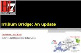 Trillium Bridge: An update - HL7 Italia · Trillium Bridge: An update ... HL7 WGM, Chicago . 3 Why Trillium Bridge? ... Pragmatic Feasibility study on the exchange of Patient Summaries