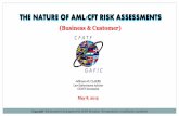 THE NATURE OF AML/CFT RISK ASSESSMENTS · The Risk Assessment Quantification * Source of Funds Risk Factor Rating Score Customer funds transfer activity does not include high risk