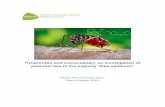 Pyriproxifen and microcephaly: an investigation of …swetox.se/wp-content/uploads/2016/03/ppf-zika.pdfPyriproxifen and microcephaly: an investigation of potential ties to the ongoing