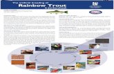 The artificial breeding of Rainbow Trout · Prior to assessment the broodstock are anaesthetized, using benzocaine or 2-phenoxi-ethanol. The handling then becomes easier, as ... Rainbow