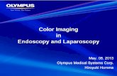 Color Imaging in Endoscopy and Laparoscopy · Color Imaging in Endoscopy and Laparoscopy May. 08. 2013 Olympus Medical Systems Corp. Hiroyuki Homma