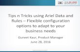 Tips n Tricks using Ariel Data and Rules - SDS and EHS ...3ecompany.com/sites/default/files/3E Events/7-Guneet-Tips-n-Tricks.pdf · Tips n Tricks using Ariel Data and Rules – Flexible