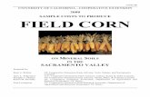 SAMPLE COSTS TO PRODUCE FIELD CORN - University …€¦ ·  · 2015-04-02Cost per acre to Produce Field Corn ... The sample costs to produce field corn in the Sacramento Valley