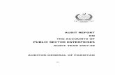 AUDIT REPORT ON THE ACCOUNTS OF PUBLIC SECTOR ENTERPRISES ... · PUBLIC SECTOR ENTERPRISES AUDIT YEAR 2007-08 ... Karachi Shipyard and Engineering Works Limited ... Audit of the accounts