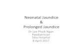 Neonatal Jaundice & Prolonged Jaundicehsibu.moh.gov.my/hsb.bm/wp-content/uploads/2017/04/Neonatal... · •Higher risk of Kernicterus –sepsis, prematurity, small for gestational