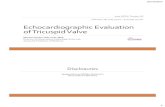 Echocardiographic Evaluation of Tricuspid Valveasecho.org/wordpress/wp-content/uploads/2017/02/Saric...2/17/2017 2 Anatomy of Tricuspid Valve 4 Anatomic Specimen Drawing of Tricuspid