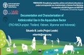 Documentation and Characterization of Antimicrobial Use … ·  · 2017-12-20Documentation and Characterization of Antimicrobial Use in the Aquaculture Sector (FAO-NACA project: