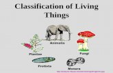 Classification of Living Things - Biology Building Blocksbioblocks.weebly.com/uploads/8/7/0/6/8706802/notes_-_taxonomy.pdf · Classification of Living Things ... characteristics and