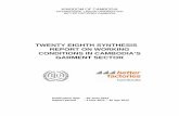 TWENTY EIGHTH SYNTHESIS REPORT ON WORKING CONDITIONS … · TWENTY EIGHTH SYNTHESIS REPORT ON WORKING ... Twenty eighth synthesis report on working conditions in ... Feasibility for