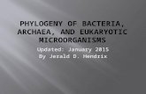 [PPT]Phylogeny of Bacteria, Archaea, and Eukaryotic …ksuweb.kennesaw.edu/~jhendrix/bio3341/phylogeny.pptx · Web viewA. Domain Bacteria Phylum Cyanobacteria Oxygenic photosynthetic