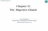 Chapter 12 The Digestive Glandsjcyxy.ahmu.edu.cn/_upload/article/files/7d/9e/e5bb813d468bab248b4...Functions of digestive glands. Salivary gland: produce saliva. ... The secretion