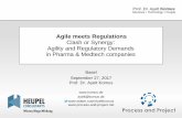 Agile meets Regulations Clash or Synergy: Agility and ... · Structure Technology People Prof. Dr. Ayelt Komus Agile meets Regulations Clash or Synergy: Agility and Regulatory Demands