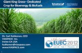Dedicated Crop for Bioenergy & Biofuels - Viaspace Presentation January 31 2012.pdf · Giant King Grass– Dedicated Crop for Bioenergy & Biofuels Dr. Carl Kukkonen, ... together