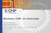 Biomass CHP: An Overvie · Metal separator, dryer, screener and grinder ... Cofiring – Substituting ...