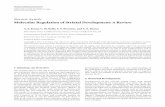 Review Article MolecularRegulationofStriatalDevelopment…orca.cf.ac.uk/42638/1/Evans 2012.pdf ·  · 2014-02-25Review Article MolecularRegulationofStriatalDevelopment:AReview ...