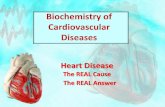 Biochemistry of Cardiovascular Diseases - University of …medicinemosul.uomosul.edu.iq/files/news/news_5050366.pdf · Biochemistry of Cardiovascular Diseases Heart Disease The REAL