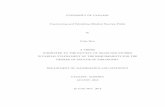 UNIVERSITY OF CALGARY Constructing and Tabulating … · UNIVERSITY OF CALGARY Constructing and Tabulating Dihedral Function Fields by Colin Weir A THESIS SUBMITTED TO THE FACULTY