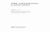THE AMAZONIAN LANGUAGES - Assetsassets.cambridge.org/97805215/70213/sample/9780521570213wsc00.pdf · THE AMAZONIAN LANGUAGES edited by ... 4.2 Subordinate clause constructions 56