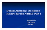 Dental Anatomy/Occlusionutechdmd2015.wikispaces.com/file/view/Dental... · Dental Anatomy/Occlusion Review for the NBDE Part I Presented by: Eric Wong Kim Mai