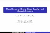 Neural Codes and Neural Rings: Topology and Algebraic Geometrymatilde/NeuralCodesRingsSlides.pdf · Neural Codes and Neural Rings: Topology and Algebraic Geometry Matilde Marcolli