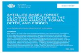 SATELLITE-BASED FOREST CLEARING DETECTION IN THE BRAZILIAN … · SATELLITE-BASED FOREST CLEARING DETECTION IN THE BRAZILIAN AMAZON: FORMA, DETER, AND PRODES david wheeler, …