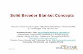 Solid Breeder Blanket Concepts - UCLA presentations/2007/India/Lecture2... · Solid Breeder Blanket Concepts The idea of a solid breeder blanket is to have the lithium-containing