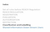 Set of rules before REACH Regulation REACH …docenti.unicam.it/tmp/3956.pdf · REACH REGULATION REGISTRATION EVALUATION AUTHORISATION RESTRICTION ... stability and any impurity deriving