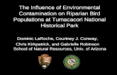 The Influence of Environmental Contamination on …€™s towhee CIE 0.124 0.045 nd 0.059 0.131 0.032 0.045 0.024 0.605 0.051 4.02 CIE 0.979 0.038 nd nd 0.117 0.072 0.21 0.015 1.04