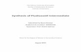 Synthesis of Fludioxonil Intermediatearad.mscc.huji.ac.il/dissertations/W/JSL/001999264.pdfSynthesis of Fludioxonil Intermediate Submitted by Reem Rimawi Student ... August 2015 .