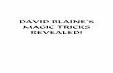 DAVID BLAINE’S MAGIC TRICKS REVEALED! - VK … · DAVID BLAINE’S MAGIC TRICKS ... few card tricks first (or something of the like). This establishes a "magical" mood, lets you