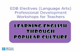 EDB Electives (Language Arts) Professional Development ... · Professional Development ... and catering for their diverse needs and ... cosmetic surgery is now a multi-million dollar