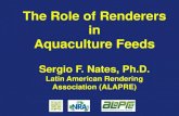 The Role of Renderers in Aquaculture Feeds€¦ ·  · 2013-02-12The Role of Renderers in Aquaculture Feeds Sergio F. Nates, Ph.D. Latin American Rendering Association (ALAPRE) ...