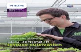 Philips GreenPower LED toplighting LED lighting in … · LED lighting in lettuce cultivation Philips GreenPower LED toplighting ... When lit, these greenhouses ...