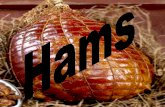 Hams - University of Kentucky · Hams • An American Icon • We’ve all had ham in one way or another • Tradition – ... Producers. National Numbers • Over 35 Country Ham