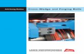 Solid Forming Machines Cross-Wedge and Forging Rolls Quality Features LASCO-Konzepte... 6 LASCO Concepts... LASCO cross-wedge and forging rolls offer an abundance of innovative details