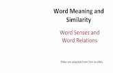 Word Meaning and Similarity - Texas A&M Universityfaculty.cse.tamu.edu/huangrh/Fall17/l13_1_sem_intro.pdfWord Meaning and Similarity Word Sensesand Word Relations Slides are adapted