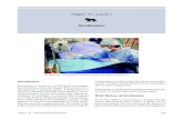Sterilization - Texas A&M Universityaevm.tamu.edu/files/2011/09/RevisedLesson13_1.pdf · Chapter 13 - Sterilization & Disinfection 297 Chapter 13 - Lesson 1 Sterilization Introduction