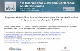 Reporter Metabolites Analysis from Inorganic Carbon ...sciforum.net/conference/iecm-1/paper/3488/download/slides.pdf · Reporter Metabolites Analysis from Inorganic Carbon Acclimation