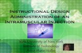 Instructional Design Administration of an Intramuscular ... · Administration of an Intramuscular Injection ... Characteristics of learners: ... support and enhance the learning episode.