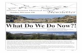 What Do We Do Now?! - Donner Summit Historical Society · ©Donner Summit Historical Society October, 2011 issue 38 page 3 What Do We Do Now? Pt I The Experience They’d crossed