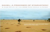 SAHEL: A PRISONER OF STARVATION? - Oakland … A Prisoner of Starvation? A Case Study of the 2005 Food Crisis in Niger 1 Acknowledgements Authors: Frederic Mousseau with Anuradha Mittal…