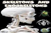 Skeletons and Exoskeletons - SMCPS - Schools · Skeletons and Exoskeletons Lundgren My Science Library’s rich, content-filled text and beautiful photographs bring science and the