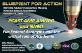 PCAST AMP AMNPO and NNMI - NSF · NSF ENG Advisory Committee Meeting National Science Foundation October 22, 2014. PCAST AMP AMNPO and NNMI. Fun Federal Acronyms and the critical
