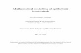Mathematical modelling of epithelium homeostasis · Mathematical modelling of epithelium homeostasis Elisa Domínguez Hüttinger DEPARTMENT OF BIOENGINEERING, IMPERIAL COLLEGE LONDON